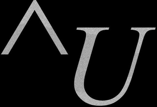 Amund Ulvestad (NO)